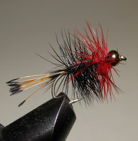 ���� �����  nymph GH palm. red/black ������ � 12